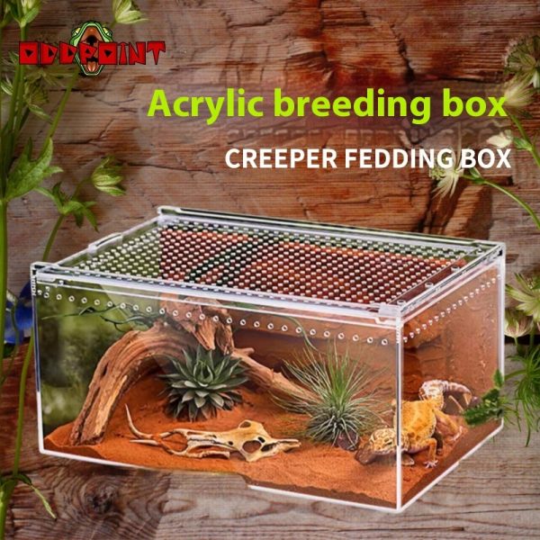 Crawler Acrylic High Permeability Feeding Box