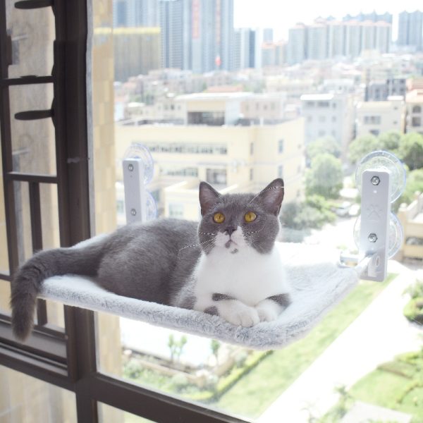 Cat Suction Cup Window Glass Hammock Pet Cat Pets Products - Image 4