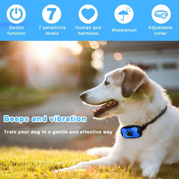 3 In 1 Antibell Hundehalsband Erziehungshalsband Fur Hunde Haustier Wasserdicht - Image 10