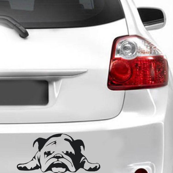 Bulldog scratch-resistant car stickers - Image 3