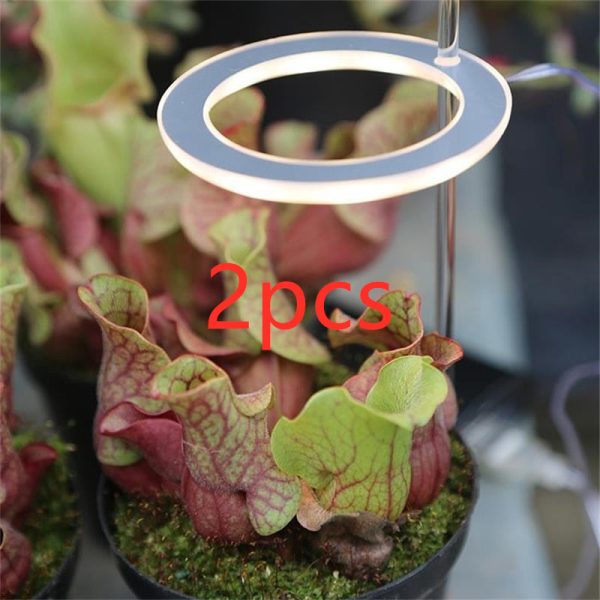 LED Grow Light Full Spectrum Phyto Grow Lamp USB Phyto Lamp for Plants Growth Lighting for Indoor Plant - Image 9