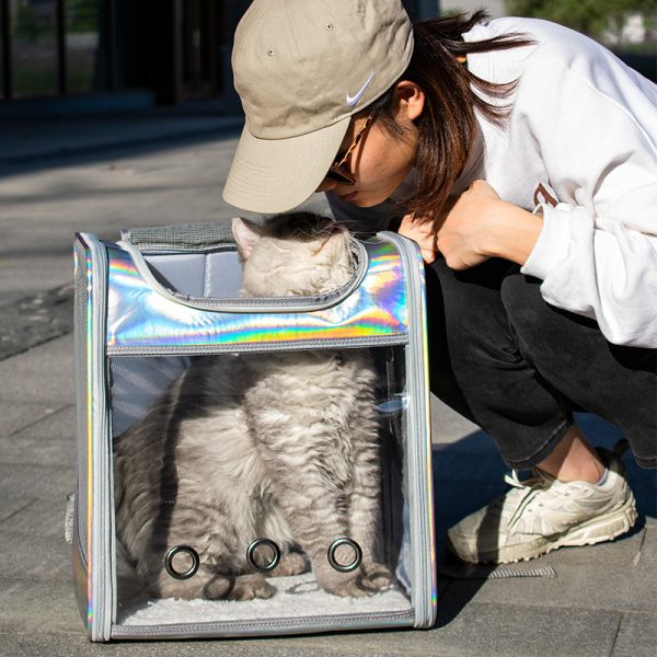 Large Space Transparent Laser Dog Backpack - Image 4