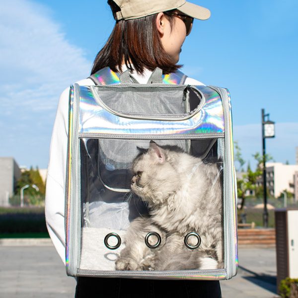 Large Space Transparent Laser Dog Backpack - Image 5