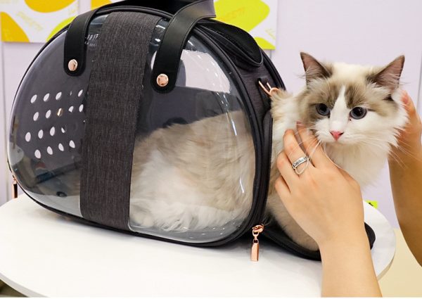 Double Fish Transparent Dog Bag Puppy Cat Cane Backpack Accessory Things Accessoires Bag Products Small Cage Pet Animal Seat Bed Double Fish Transparent Dog Bag Puppy Cat Cane Backpack Access - Image 6