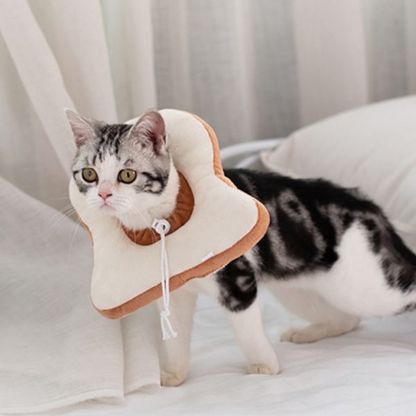 Cat pet headgear anti-licking shame circle - Image 4