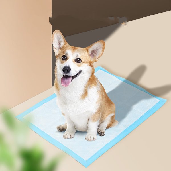 Pet Hygiene Absorbent Dog Pad - Image 3