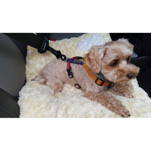 Dog seat belt - Image 4