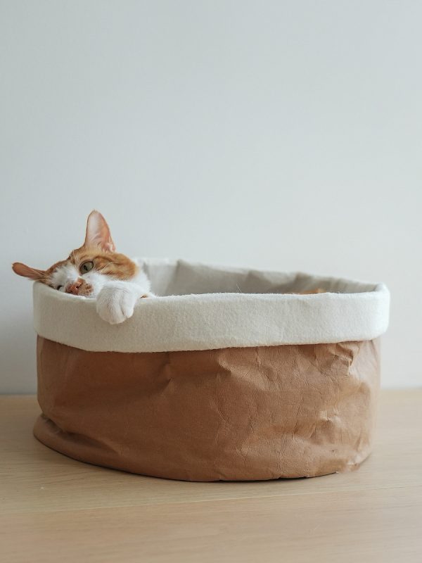 Washed Kraft Paper Bag Pet Nest - Image 5