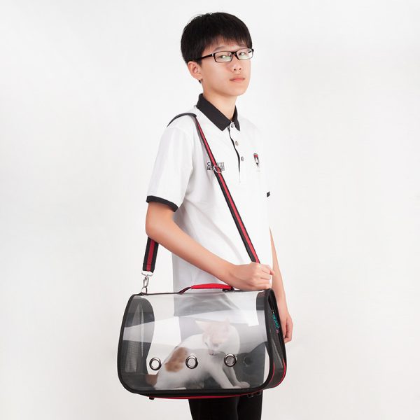 Transparent pet portable Messenger bag - Image 2