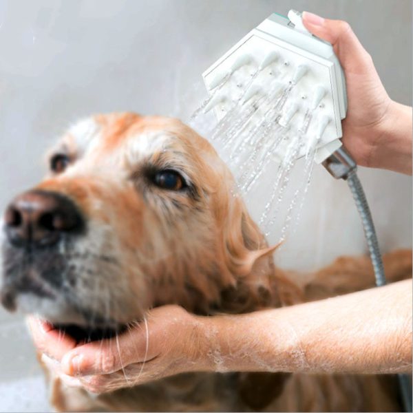 Pet shower brush nozzle - Image 2