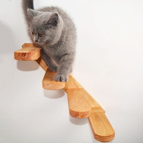 Cats Climbing Ladders On Solid Wood Walls, Rubber Wood Springboards And Stair Toys - Image 3