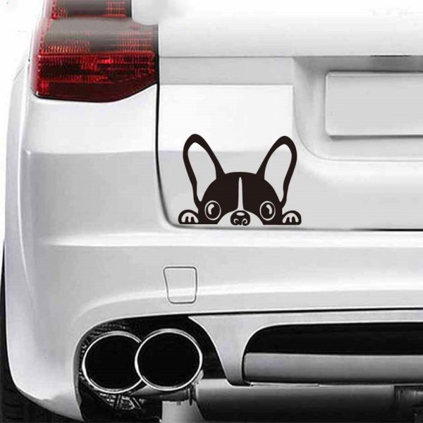 French bulldog car sticker - Image 4