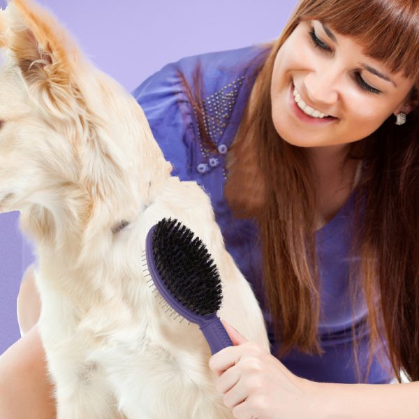 Pet Comb Hair Special Comb Napping Fluffy Needle Hair Knotting Float Hair Cleaning