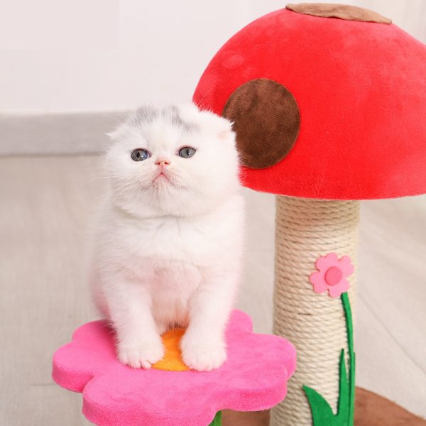 Grinding Claws Funny Cat Toy Sisal Column Mushroom Flower Climbing Frame - Image 5