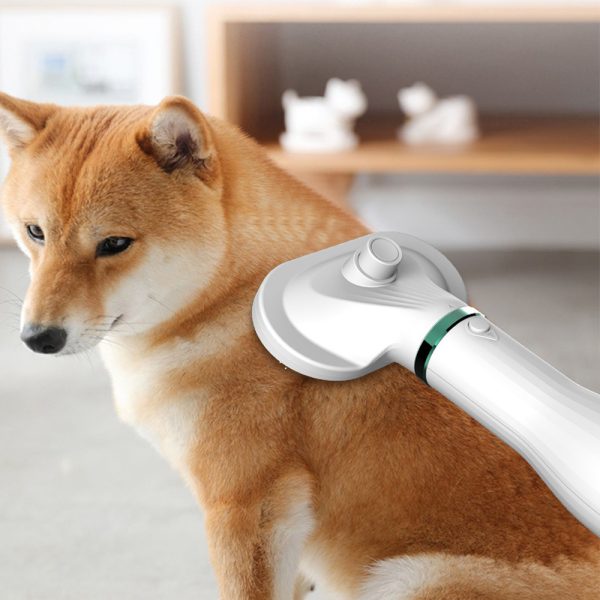 Pet Comb Hair Dryer - Image 2