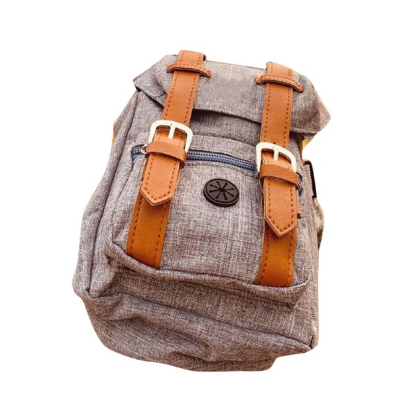 Pet Self Backpack Schnauzer Small And Medium-sized Dog Corgi Bag - Image 2