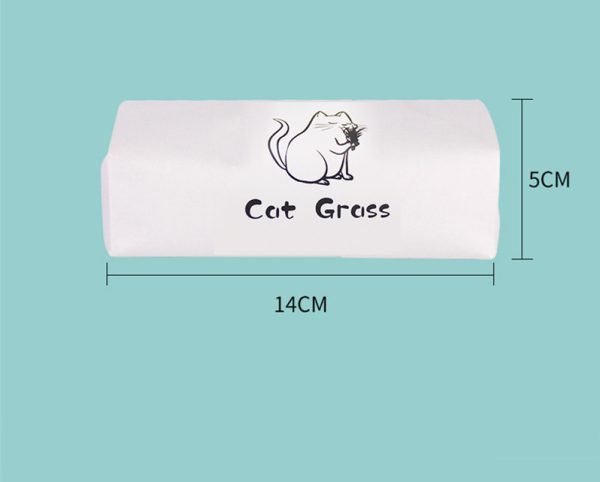 Soilless Organic Cat Grass Clean Oral Cat Supplies - Image 6