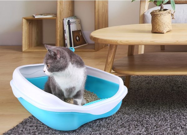 Cat litter - Image 4