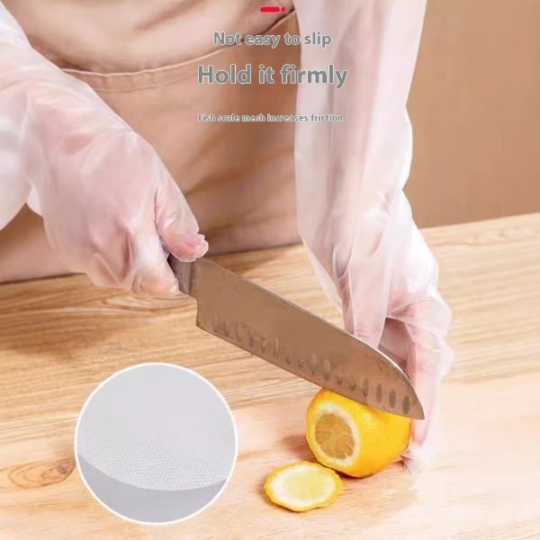 Dishwashing Waterproof Oil-proof Extended Disposable Gloves - Image 4