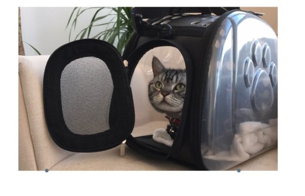 Bag out portable transparent cat dog backpack foldable four-sided breathable Messenger portable cat bag - Image 3