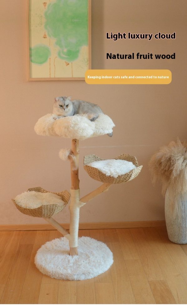 Natural Fruit Tree Cat Climbing Frame Solid Wood Rattan Cat Nest Cat Tree - Image 10