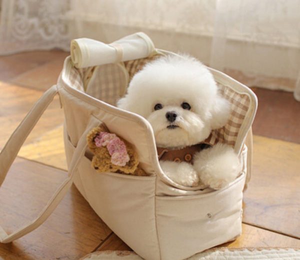 Cat Bag Teddy Bear Go Out Portable Portable - Image 4