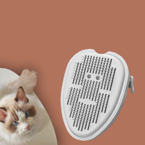 Cat Steam Brush For Shedding Self Cleaning Cat Brush With Steam Rechargeable Pet Steam Brush Mist Brush Comb For Indoor Cats Cat Hair Brush Steamy Cat Brush For Short Long Haired Pets - Image 4