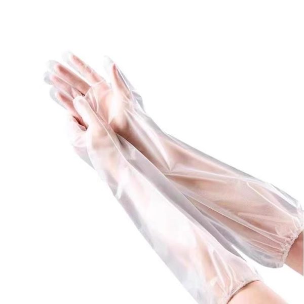 Dishwashing Waterproof Oil-proof Extended Disposable Gloves - Image 5