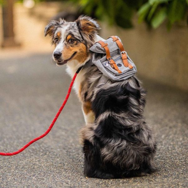 Pet Self Backpack Schnauzer Small And Medium-sized Dog Corgi Bag - Image 5