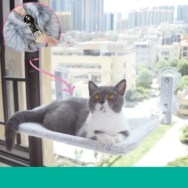 Cat Suction Cup Window Glass Hammock Pet Cat Pets Products - Image 5