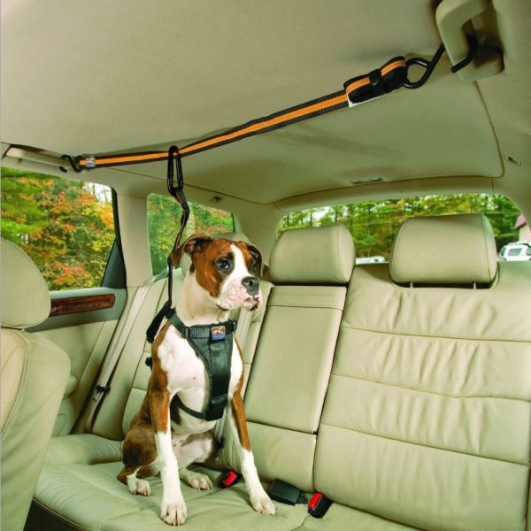 Pet Safety Belt Dual-purpose Car Lanyard - Image 4