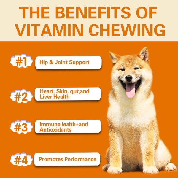 Pet Vitamin Multifunctional Health Care Products Dog - Image 4