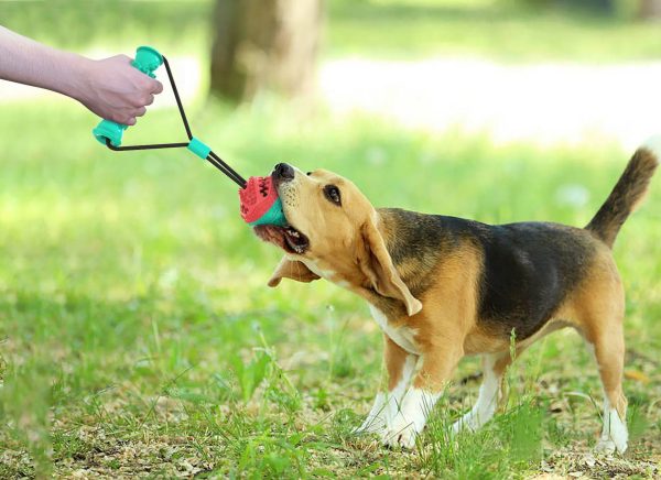 New pet products pet toy pull rope toy training ball - Image 4