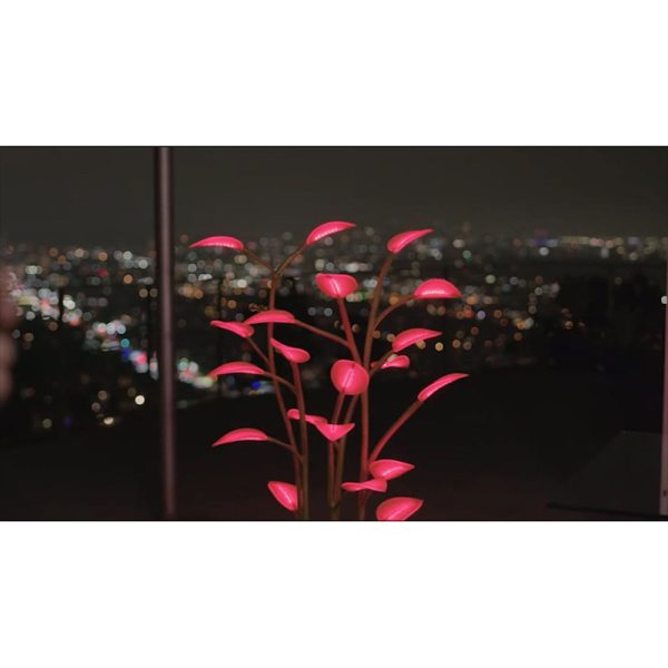 New Magic Led Indoor Plant Lamp - Image 2