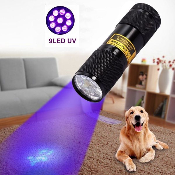 21LED violet flashlight LED violet UV UV Flashlight counterfeit flashlight - Image 4