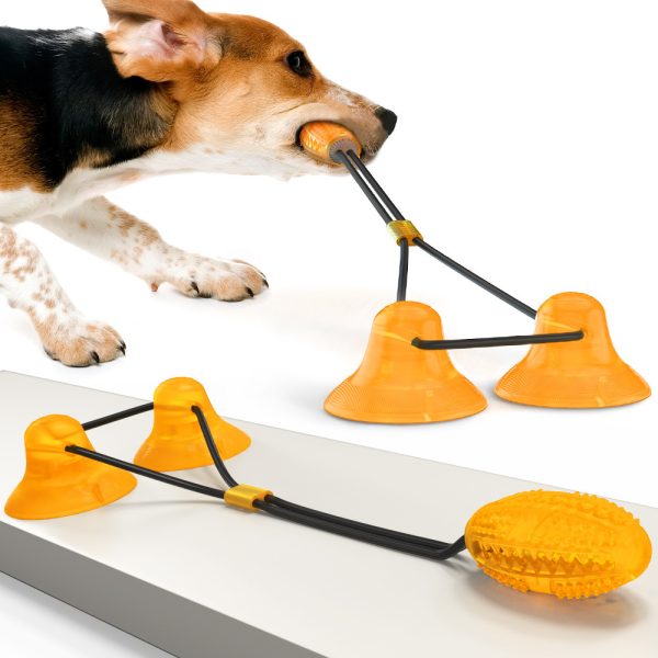 Dog rubber toy set