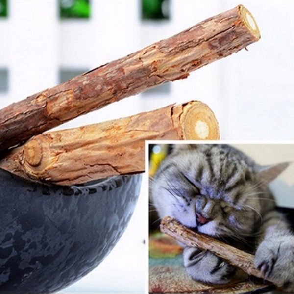 2 Pcs MatatabiStick Catnip Chew Sticks Pet Kitten Cleaning Teeth Healthy Care - Image 2