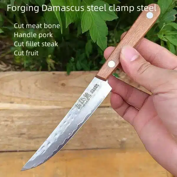 67-ply Forged Damascus Steel Steak Blade Sharp Peeling Fruit Knife Mongolian Handhandle Boning Knife Household Kitchen Knife - Image 4