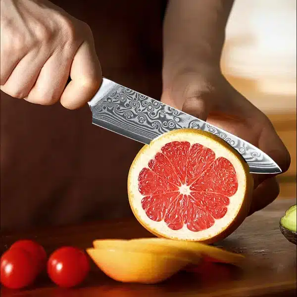 F.YOUNG 5 Inch Kitchen Utility Knife 67 Layer Damascus Steel Chef Fruit Peeling Knife Vegetable Knife Kitchen Tools G10 Handle - Image 2