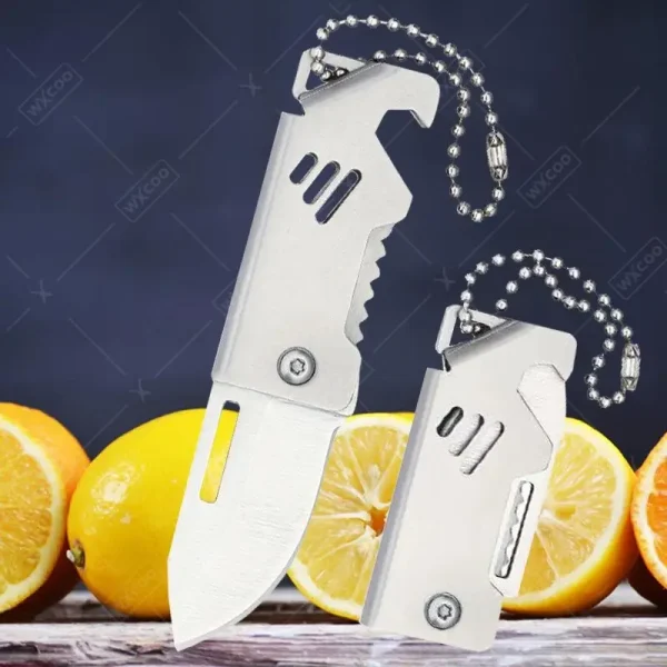 Mini Fruit Knife Stainless Steel Kitchen Paring Knife Folding Sharp Pocket Knives Kitchen Knife with Key Chain Non-slip Handle